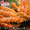 北海道直送 活タラバガニ 2.8kg 期間限定セール カニの王様 本タラバ蟹！【楽ギフ_のし宛書】【楽ギフ_メッセ入力】