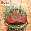 北海道産 訳あり活毛がに600g 1尾 楽天ランキング入賞毛カニ部門ランクイン!!あす楽 毛ガニ 道産品