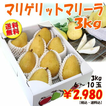 ̵ޥꥲåȥޥ꡼3kg(6-10)