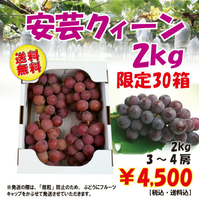 【送料無料】山形県産大粒ぶどう「安芸クイーン」2kg(3-4房)【葡萄】