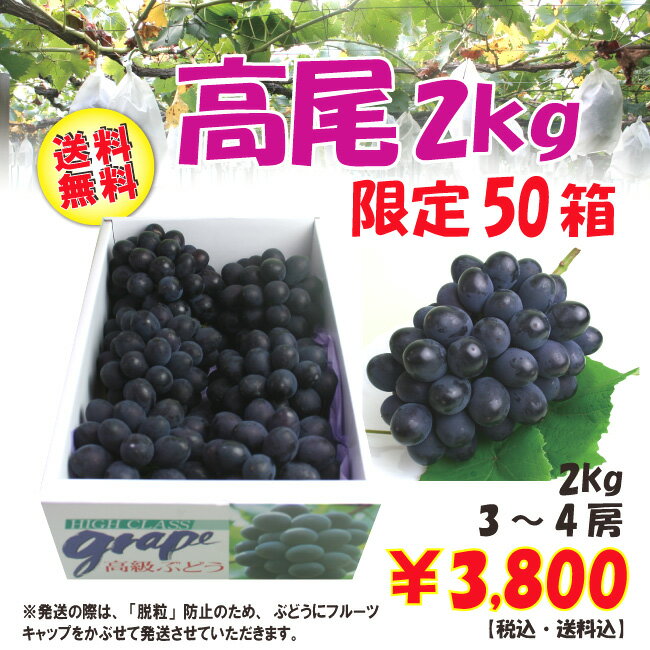 【送料無料】山形県産大粒ぶどう「高尾」2kg(3-4房)【葡萄】【楽ギフ_のし】【楽ギフ_のし宛書】【楽ギフ_メッセ入力】【限定50箱】コクのある深い甘みは、ついついもう一粒と手が伸びる美味しさ！