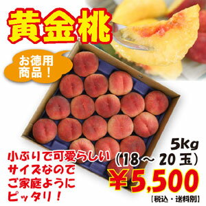 山形県産黄桃「黄金桃」お徳用5kg（18-20玉）