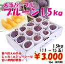 ץ롼ȥѡץ1.5kg11-15̡