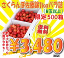 【送料無料限定500箱！27％OFF】山形県産さくらんぼ「佐藤錦」1kg（500g×2）バラ詰M玉以上