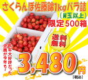 山形県産さくらんぼ「佐藤錦」1kg（500g×2P）M〜L玉バラ詰100g当たりなんと348円！M玉サイズ以上なのでご自宅用におススメ！本場山形のさくらんぼをお手頃に楽しんでください！