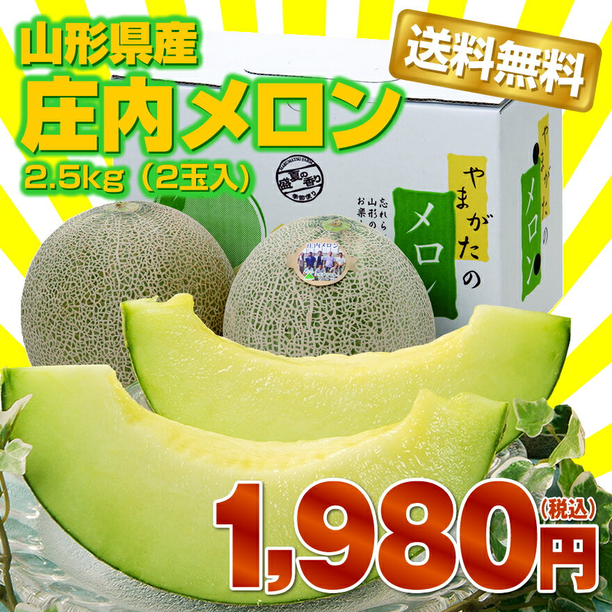 【楽天最安値】に挑戦！【ランキング1位感謝特価】【送料無料】山形県産「庄内砂丘メロン」青肉2.5kg（2玉入）【楽ギフ_のし】【楽ギフ_のし宛書】【楽ギフ_メッセ入力】【RCPsuper1206】【0603superP10】【楽天最安値】に挑戦！御中元ギフトの定番メロンがこの価格！贈答用にも使える高品質メロン！