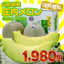 に挑戦！【ランキング1位感謝特価】【送料無料】山形県産「庄内砂丘メロン」青肉2.5kg（2玉入）【RCPsuper1206】【0603superP10】