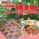 【予約】【訳あり】【数量限定】山形県産「黄金桃」(黄桃)品種...