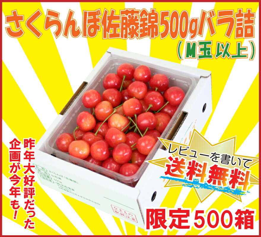 【レビューを書いて送料無料！限定500箱】山形県産