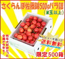 【レビューを書いて送料無料！限定500箱】山形県産さくらんぼ「佐藤錦」500g（500g×1P）M〜L玉バラ詰【サクランボ】【05P05Apr14M】