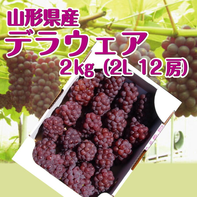 【ポイント5倍】【送料無料】山形県産ぶどう「デラウェア」2kg(2Lサイズ　12房入) 種無し お盆 山形 産地直送 葡萄 残暑見舞い 楽ギフ_のし 楽ギフ_のし宛書 楽ギフ_メッセ入力