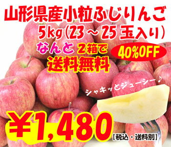 山形県産「小粒ふじりんご」優品5kg（23-25玉入）同一住所へ2箱お届けで【送料無料】に！【東北復興_山形県】