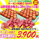 クーポンで半額！山形県産「小粒サンふじりんご」優品20kg　期間限定★クーポン利用で半額50％OFF！果物専門店だからできる超特価！20kg（80-100玉入）とたっぷりサイズを今回だけにてお届け！超目玉商品！楽天最安値に挑戦！