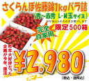 (tk)さくらんぼ佐藤錦1kg（500g×2）バラ詰M玉サイズ以上なので完全自宅用