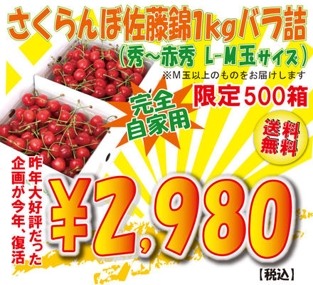 限定500箱！38％OFF【送料無料】山形県産さくらんぼ佐藤錦1kg（500g×2）バラ詰M玉以上