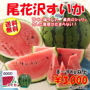 【送料無料】山形県産 すいか 「尾花沢スイカ」大玉1玉（8-9kg）【西瓜】【楽ギフ_のし】【楽ギフ_のし宛書】【楽ギフ_メッセ入力】【お中元・ギフト特別価格】日本一の産地からお届けするスイカはシャリっと食感が違います！[すいか 西瓜]