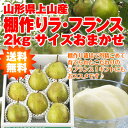 【通常価格の20%OFF】【ポイント5倍】【ギフト】【送料無...