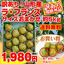 【ポイント3倍】【送料無料】【訳有り】山形県産「ラ・フランス」5kg（サイズおまかせ） 山形 西洋梨 ラフランス ようなし younasi 産直 自家用 訳有り