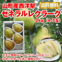 【ポイント5倍】【送料無料】山形県産 西洋梨「ゼネラルレクラ...