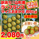 【予約】【送料無料】 訳有り 山形県産「...