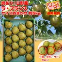 【予約】【送料無料】 訳有り 山形県産「...