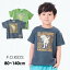 【40%OFF】アロサウルスTシャツ キッズ ベビー 半袖Tシャツ 半そで 恐竜プリント きょうりゅう allosaurus トップス 男の子 おとこのこ 子供服 子ども服 こども服 F.O.KIDS エフオーキッズ 4024645 R207322-14mm 【メール便可】 22SS-k-t【SALEsaleセールバーゲン】 1,188円