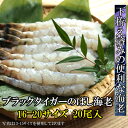 【送料無料】ブラックタイガーえび のばしえび 16-20サイズ200本 【伸ばし海老】送り先が四国の場合は+200円、北海道・九州の場合は+300円別途送料をいただきます。(沖縄・離島の場合は別途送料がかかります)