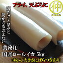 国産ロールイカ 5kg 5尾【アカイカ】【冷凍イカ】
