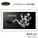(3)【取り寄せ商品】エバーグリーン オケアノス / ジギングリール / ソルト用リール / EverGreen / OCEANUS