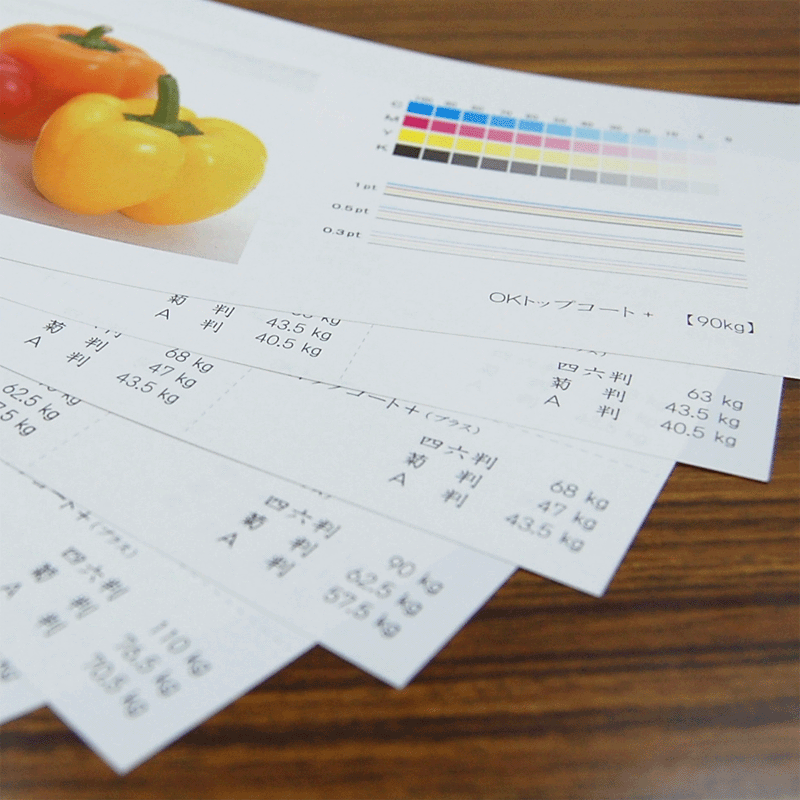 コート紙　110kg（≒0.10mm）　A4　2000枚入り【高白色】【OKトップコート+…...:maruraku:10002329