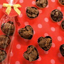 マロチョコ(縦直径3cmほどのチョコボール20個分)【バレンタイン】【手作りキット】