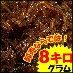 【お遣い物・お礼・ギフトに♪】【送料無料】神戸卸市場 目利きのプロが選んだいかなご釘煮 どか盛8kg業務用卸価格で！（送料無料）＜くぎ煮・イカナゴ＞関西名物やわらか釘煮