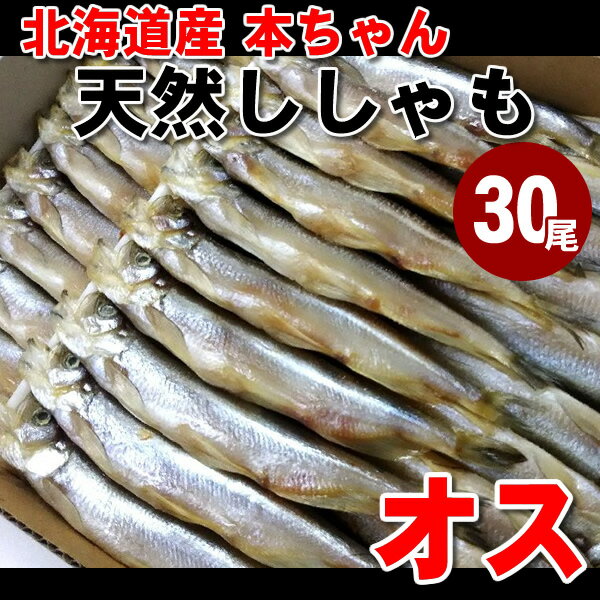 【数量限定】北海道 ★今回は日高町です！ 本ちゃんししゃも　オス　30尾入り　本ししゃも　柳葉魚　天然　本物　シシャモ