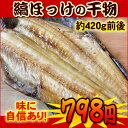【税コミ価格】【1尾販売】やっと見つけた!美味しい縞ホッケ【...