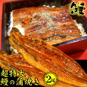 ★最終価格!鰻蒲焼 超特大サイズ(中国産だけどこだわりの二ホンウナギ種のみ厳選)2尾【タレ別売】(特大の約285g×2尾)【うなぎの蒲焼き ひつまぶし ウナギ 鰻 土用の丑】