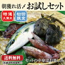 【送料無料】朝獲れ鮮魚お試しセット★五島列島より活〆鮮魚を直...