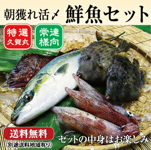 【送料無料】朝獲れ鮮魚通常セット★五島列島より活〆鮮魚を直送★【4,000円】【税込】【s…...:marusei510:10000198