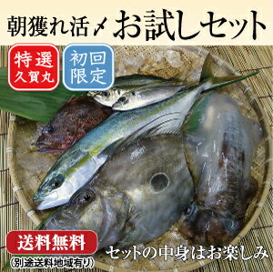 【送料無料】朝獲れ鮮魚お試しセット 五島列島より活〆鮮魚を直送 【4 500円】【税込】【smtb-...:marusei510:10000197