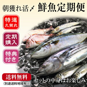 [定期購入]嬉しい特典付き！！【5,000円×6ヶ月コース】【smtb-ms】美味しい旬のお魚を毎月あなたの元へお届け！