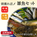 [税込・送料無料]五島列島の雑魚セット【2,100円】