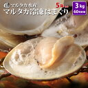 【送料無料】冷凍はまぐり5年もの5cm〜6cmサイズ 500...