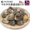 【送料無料】蓄養はまぐり 5年もの5cm〜6cmサイズ蛤(ハ...