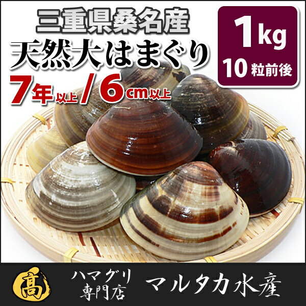 【三重ブランド認定】【送料無料】三重県桑名産 天然大はまぐり 7年もの以上蛤(ハマグリ)6cm以上1...:marutakasuisan:10000259