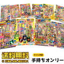 花火 手持ちセット 送料無料 【花火セットF】 内容おまかせ...