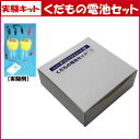 実験キットくだもの電池セット★小学生中学生夏休みの自由研究に【あす楽】簡単便利人気