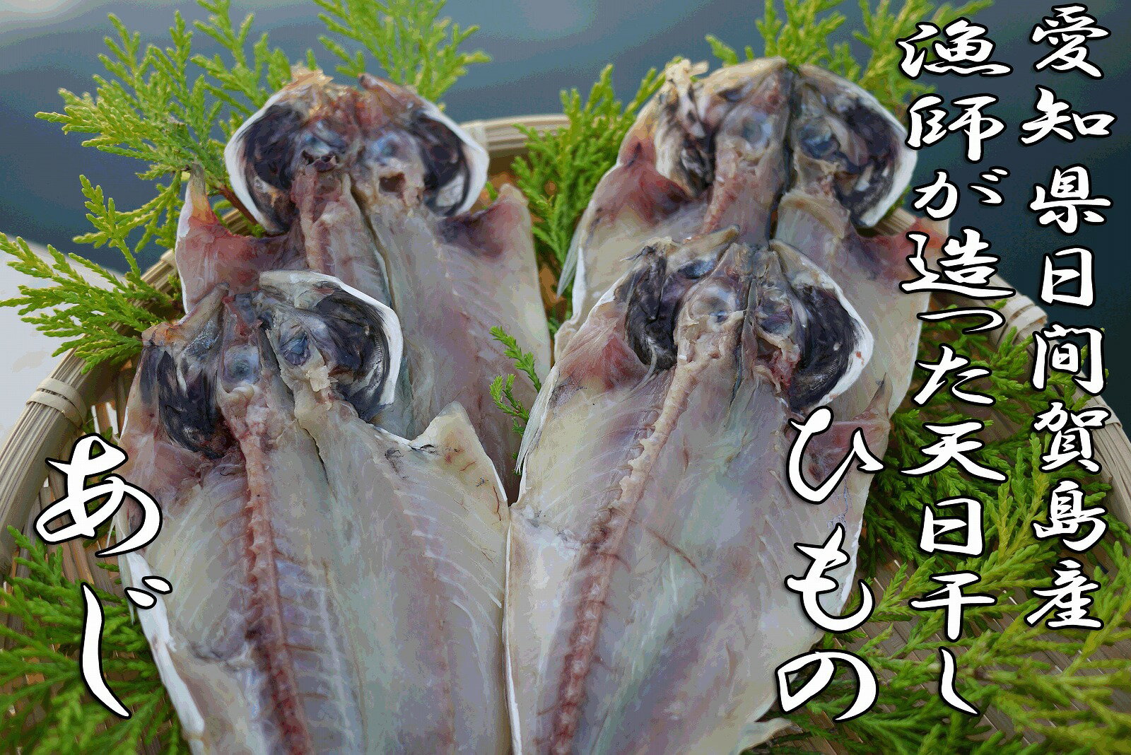 日間賀島漁師が造った【アジの干物】鯵(あじ)のひもの