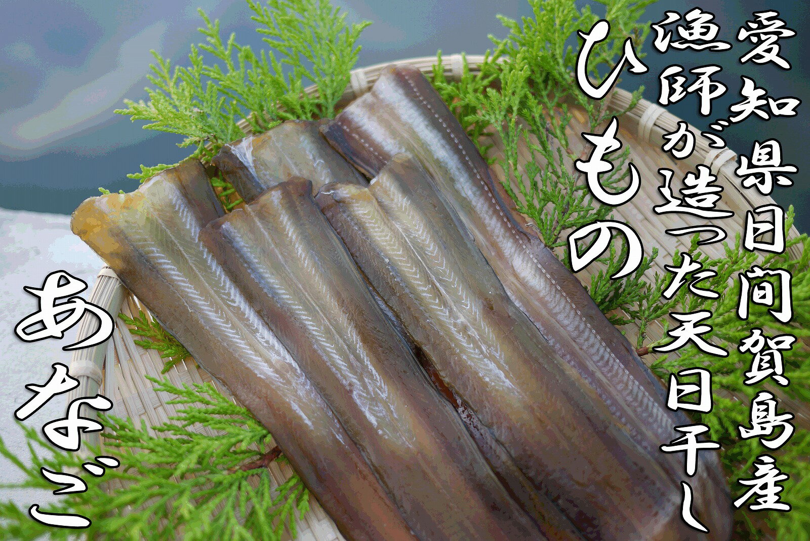 日間賀島漁師が造った【穴子の干物】あなごのひもの【RCPmara1207】【マラソン201207_食品】日間賀島漁師が獲った穴子を、自ら「ひもの」にした本物がつくる、本物の味!!