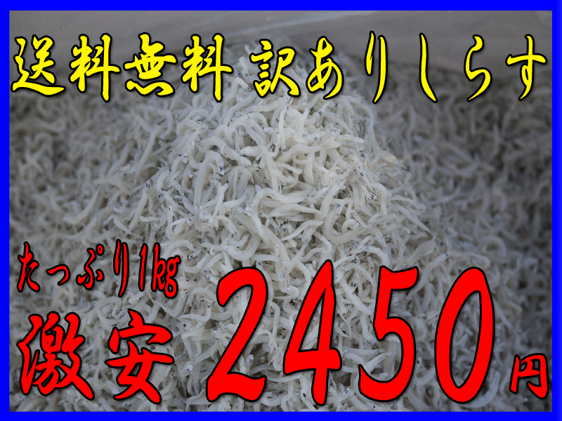 【送料無料】激安!!★訳あり★しらす1kg愛知県日間賀島産やわらかちりめん