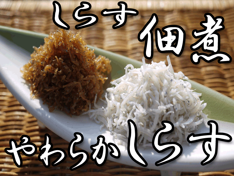 【お中元】【送料無料】★しらす500g＆佃煮しらす300g★愛知県日間賀島産やわらかちりめん＆佃煮ちりめんギフトにも!!【SBZcou1208】