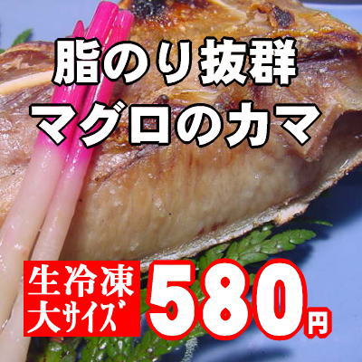 【ボリューム満点♪1匹に2個しか取れない貴重品】マグロのカマ《生冷凍》大サイズ